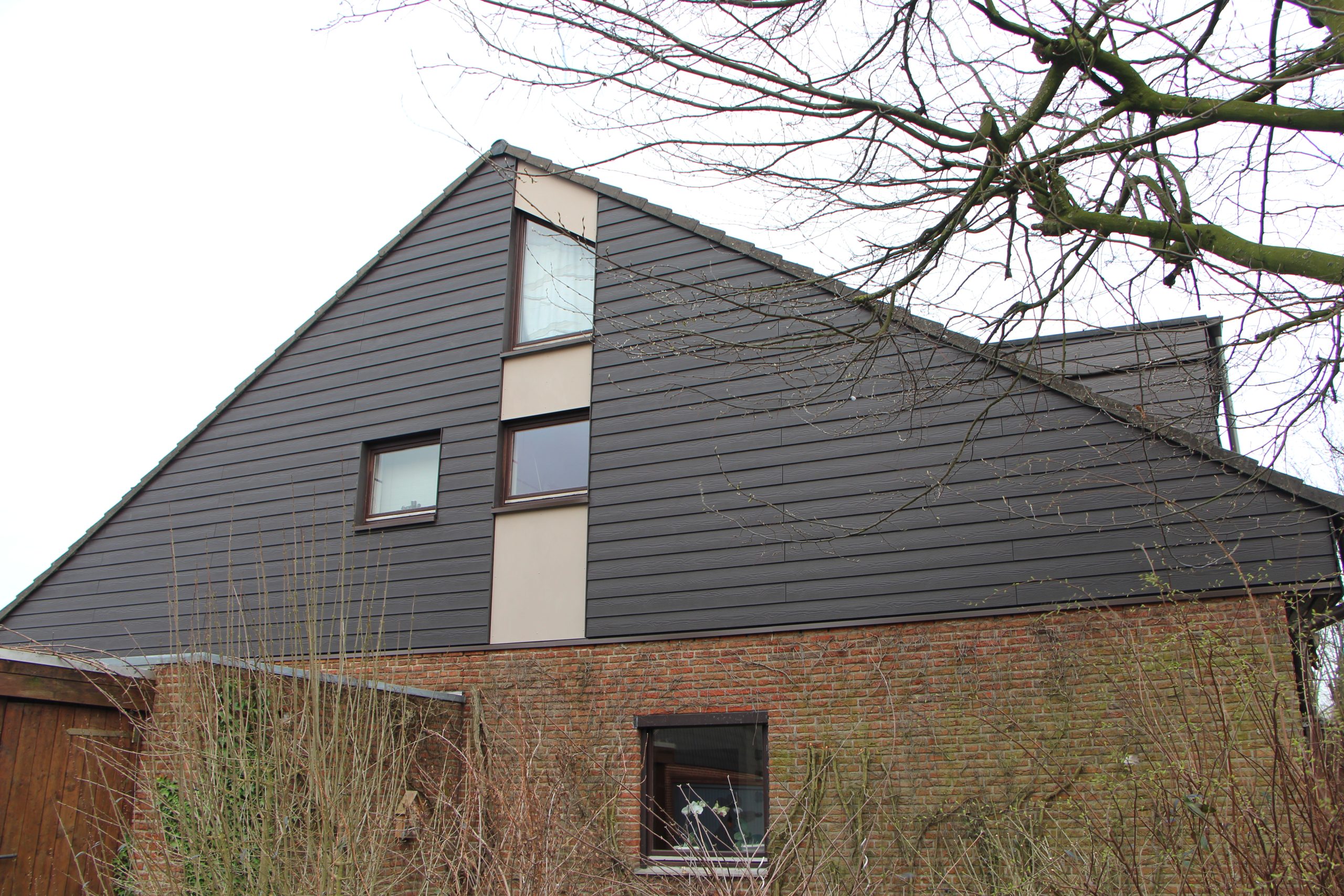 Fassadensanierung Cedral