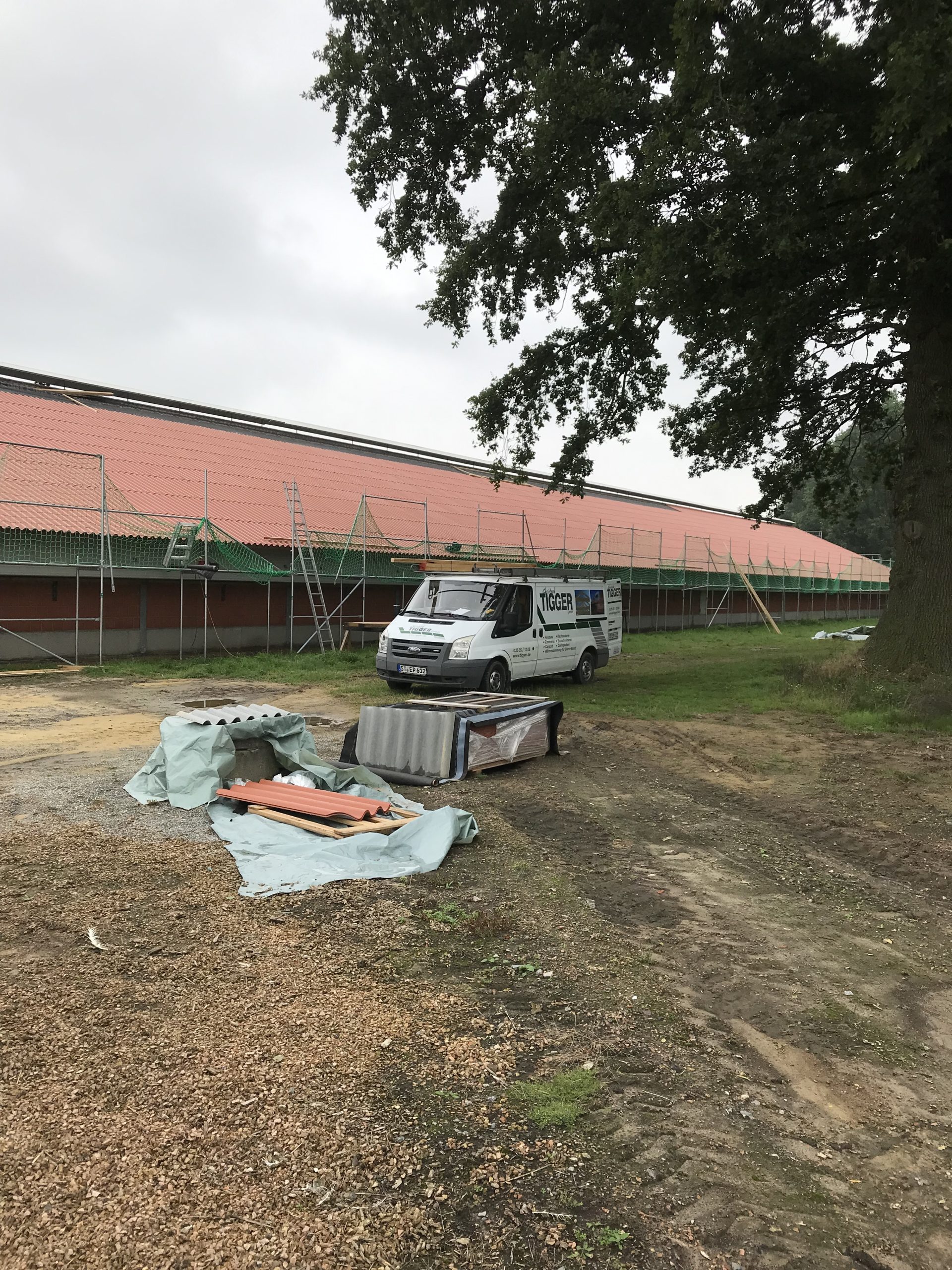 Sanierung Stallgebäude, Eternit Welle