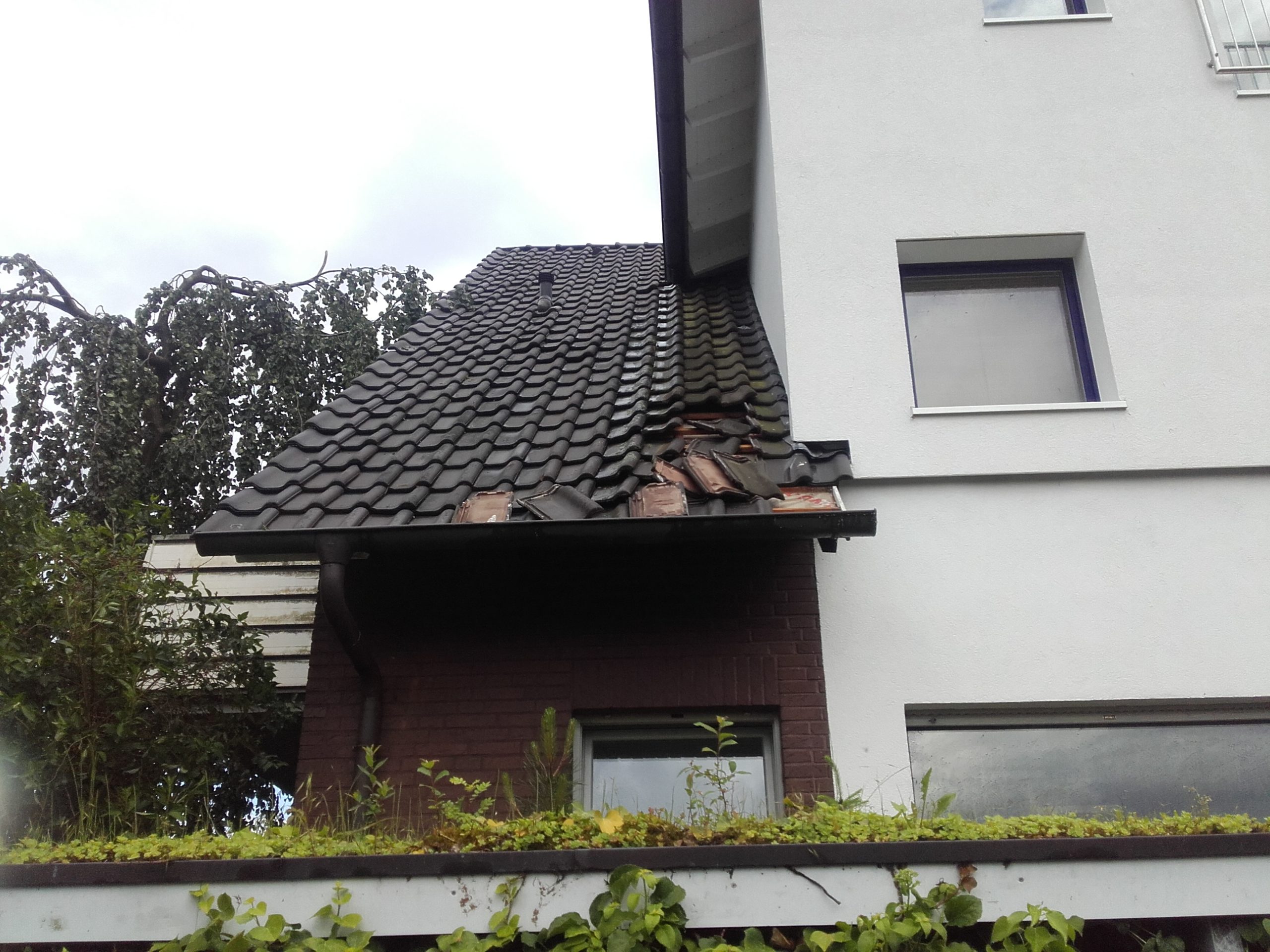 Sturmschädenbeseitigung